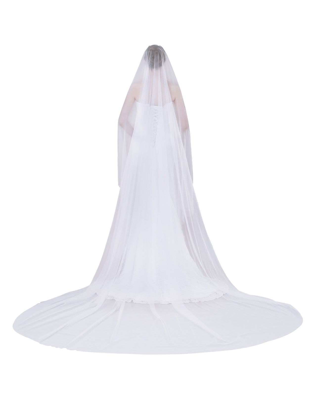 Cathedral length wedding veil with long blusher, elegant simple bridal accessory