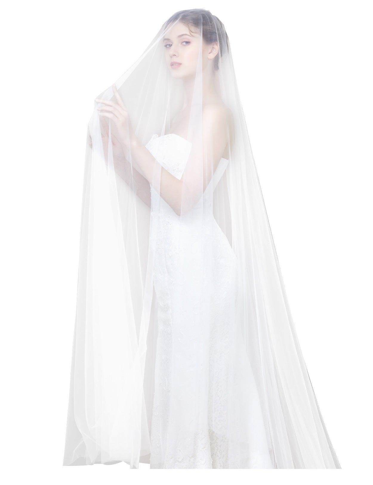 Cathedral length wedding veil with long blusher, elegant simple bridal accessory