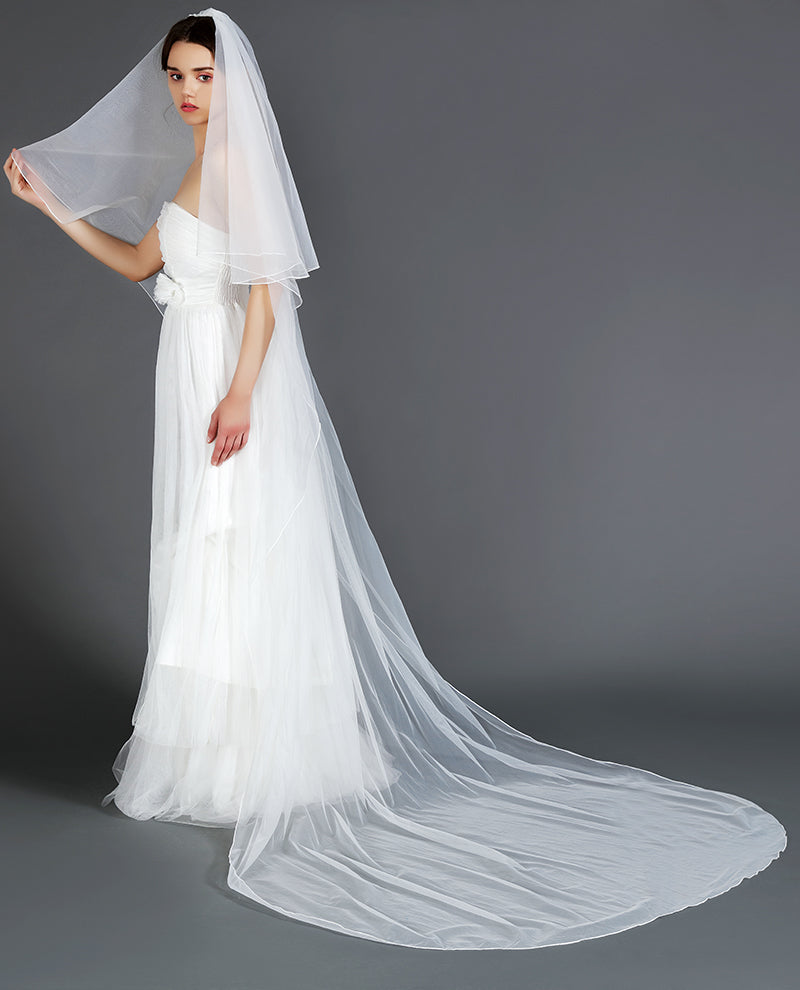 Brautschleier für die Hochzeit mit Kamm, 2-stufig, Bleistiftkante, lange Kathedralenlänge, 297,5 cm, V45, Maßanfertigung