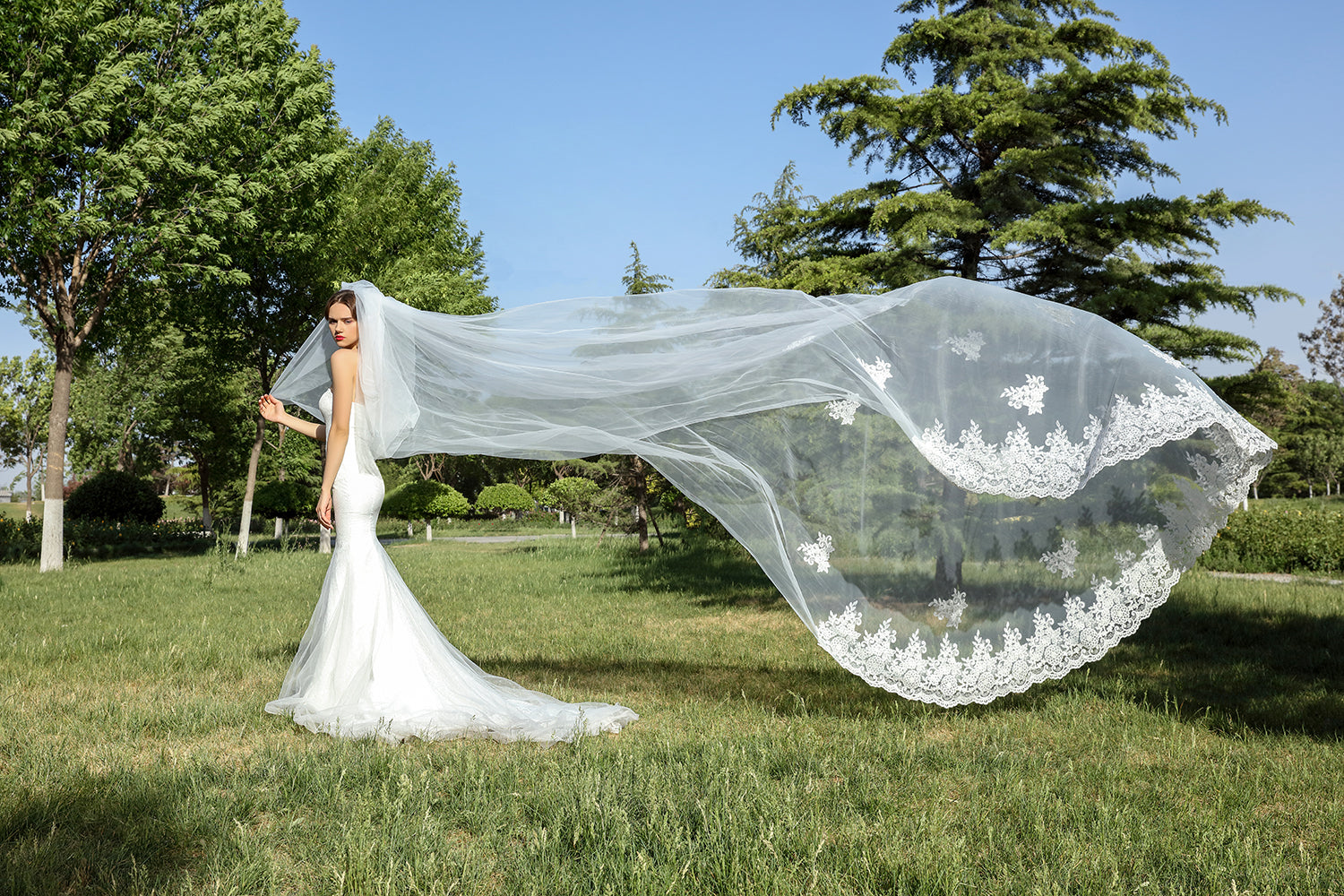 Wedding Bridal Veil with Comb 2 Tier Lace Applique Edge Cathedral Length 157"-V78